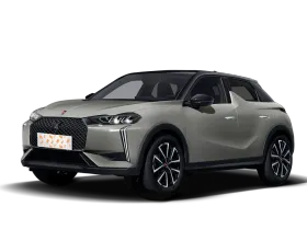 DS 3