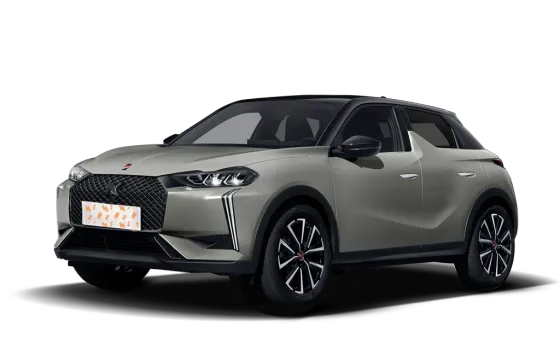 DS 3