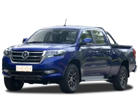 Dayun Pickup