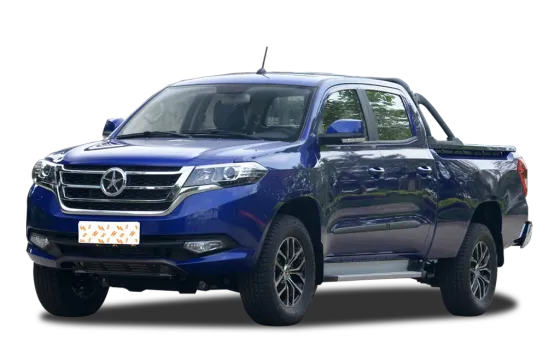 Dayun Pickup