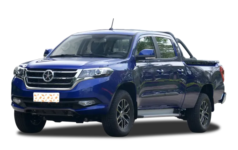 Dayun Pickup