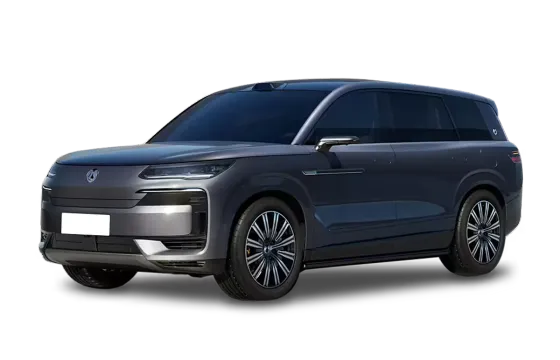 Denza N9