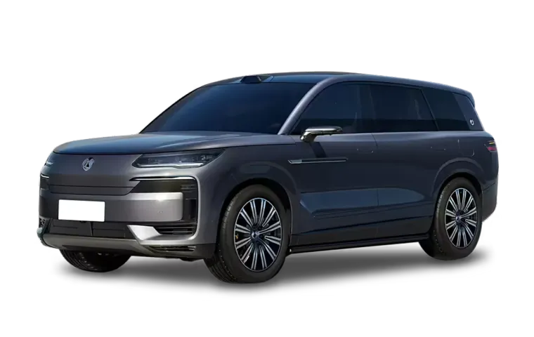 Denza N9