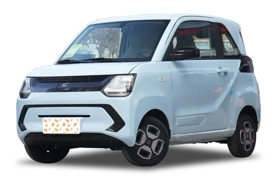 FENGON MINI EV