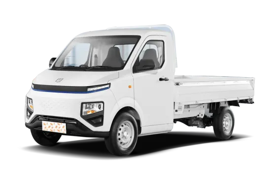 Farizon Xingxiang F1E
