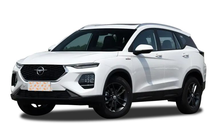 Haima 8S