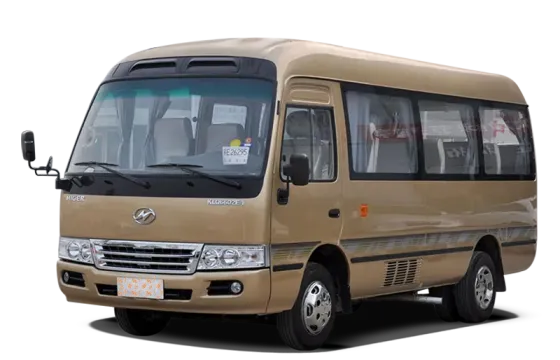 Higer Passenger transport