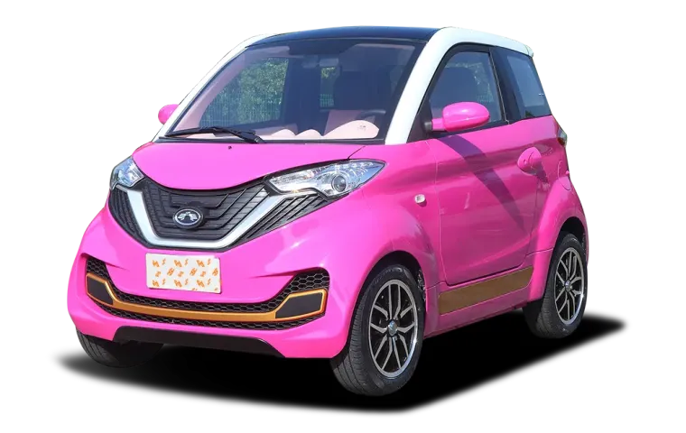 Huazi EV NO.1
