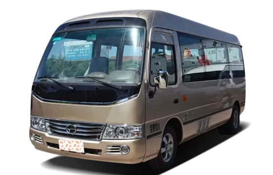 Joylong C6