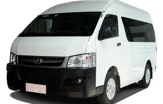Joylong MPV