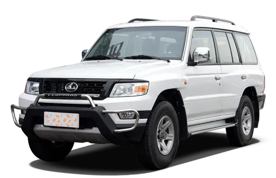 Leopaard Q6