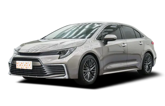 Levin GT