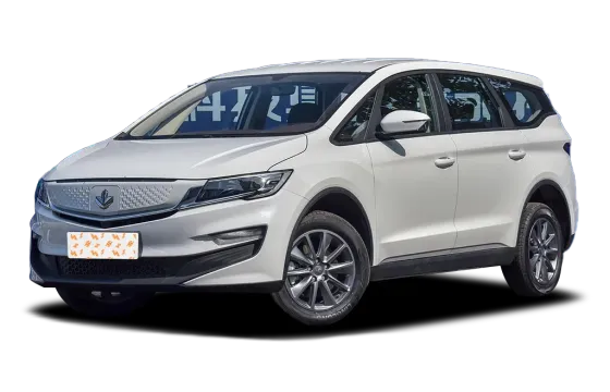 Lifan Maple 80V