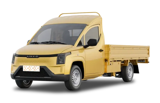 Linxys Gold Mini Truck