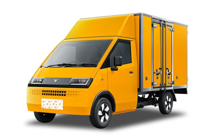 Neomor D05