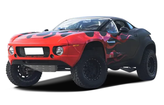 RALLY FIGHTER