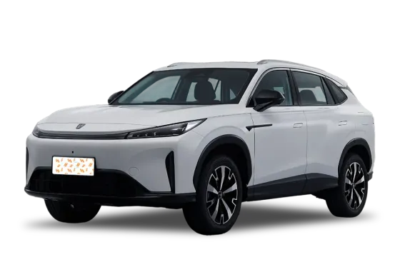 ROEWE D5X