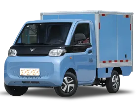 Reach MINI Truck