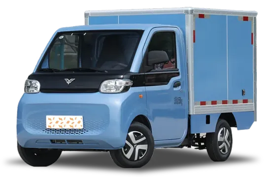 Reach MINI Truck