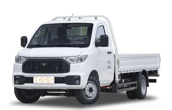Reach Mini Truck EV
