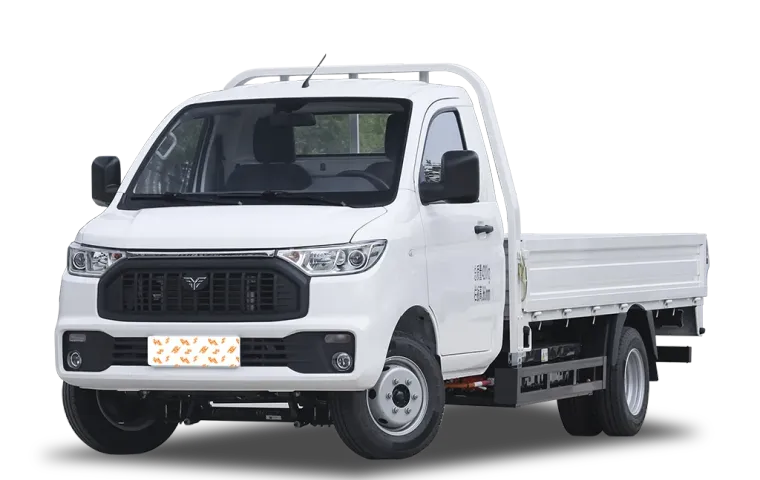 Reach Mini Truck EV