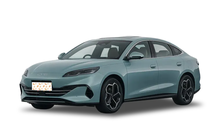 Seal 06GT