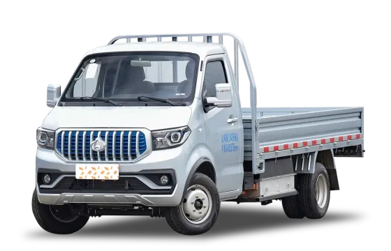 Shenqi T30