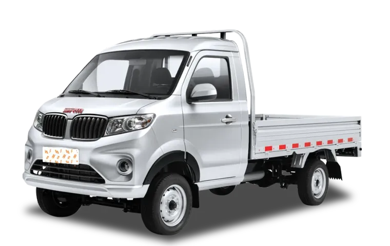 Shineray Jinbei truck S1