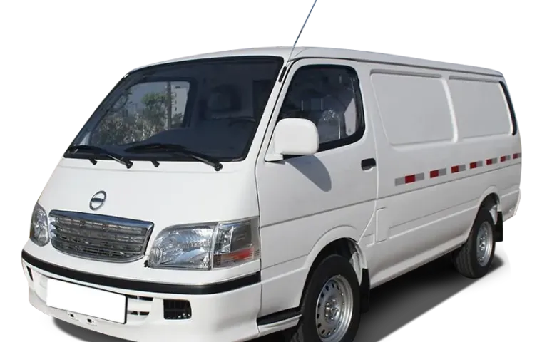 Skywell D09