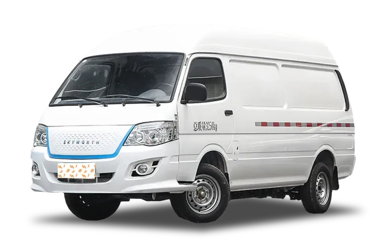 Skyworth D10
