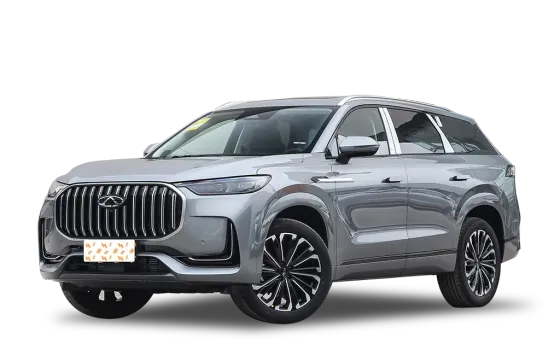 Tiggo9