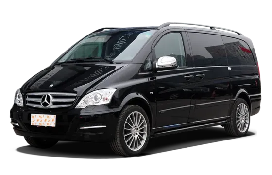VIANO(imported)