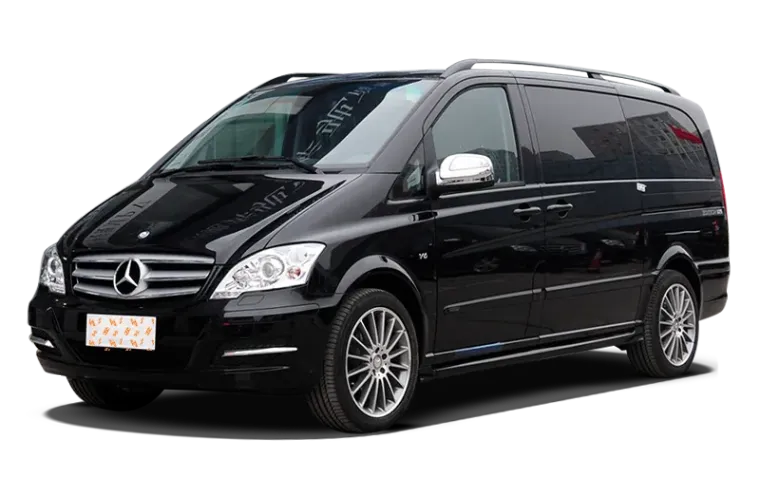 VIANO(imported)