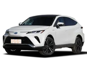 Venza(imported)