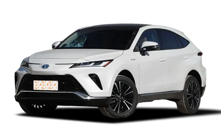 Venza(imported)