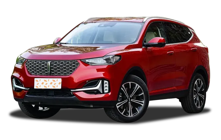 WEY VV6