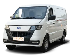 Wanxiang T01