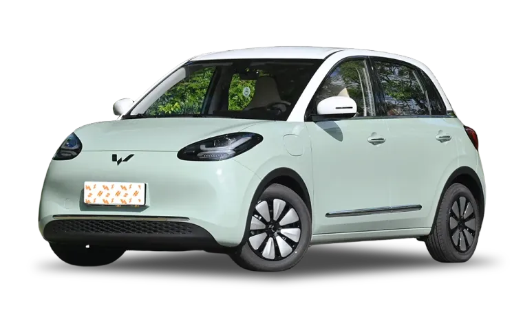 Wuling Bingo