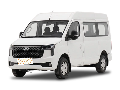 MAXUS V80